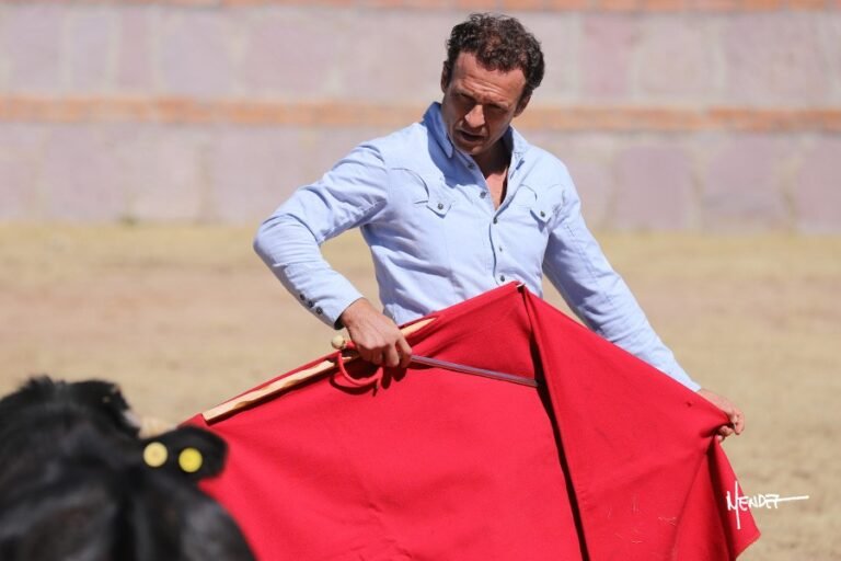 Ferrera en el campo mexicano