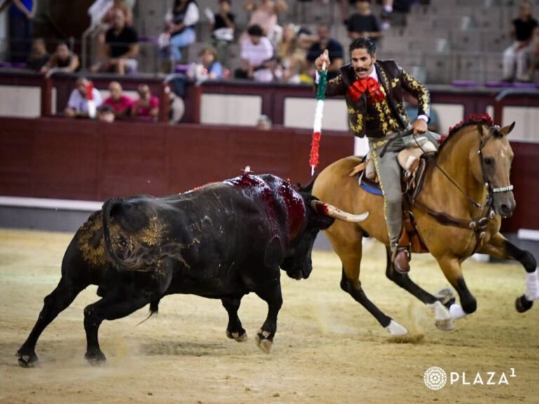 Gamero, vuelta al ruedo en Madrid