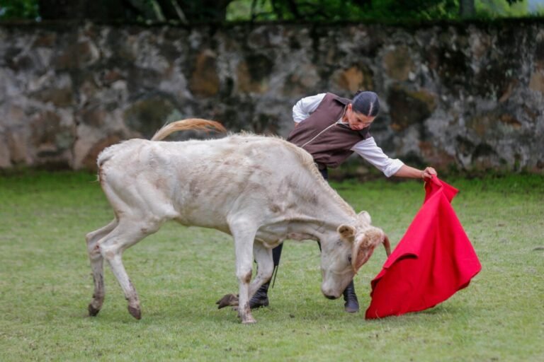 Miriam Cabas realiza su primer tentadero oficial