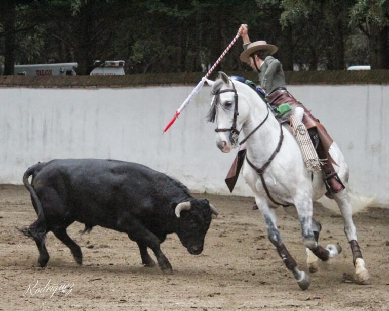 André continúa preparación en el campo