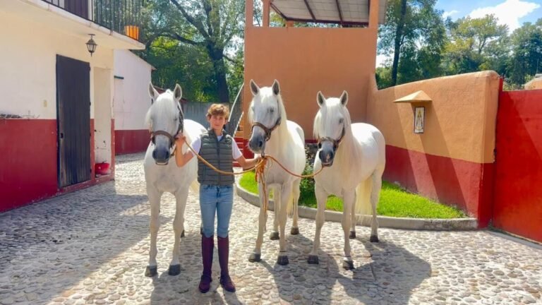 Llegan a México los Caballos Estrella de la cuadra del rejoneador André