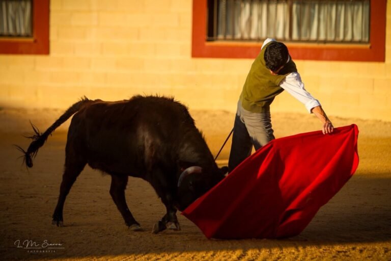 Rafael De Julia está de regreso