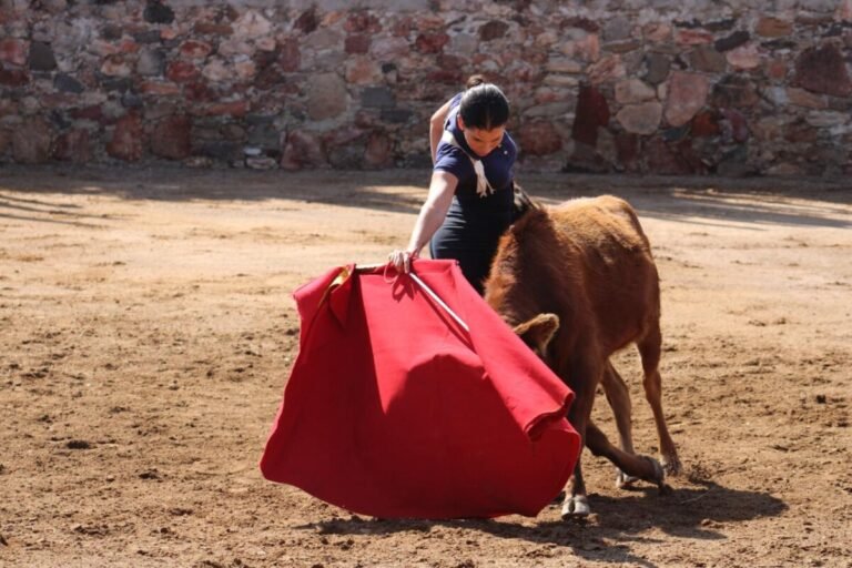 Miriam Cabas incrementa su actividad