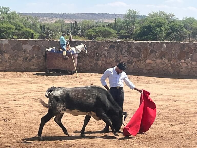 “Será una corrida con muchos matices”: Jesús Enrique Colombo