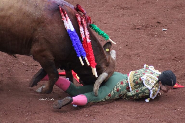 Miriam Cabas firma gran faena y sufre cornada