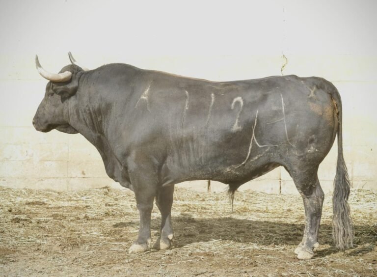 Toros de San Pablo para Texcoco el Sábado de Gloria