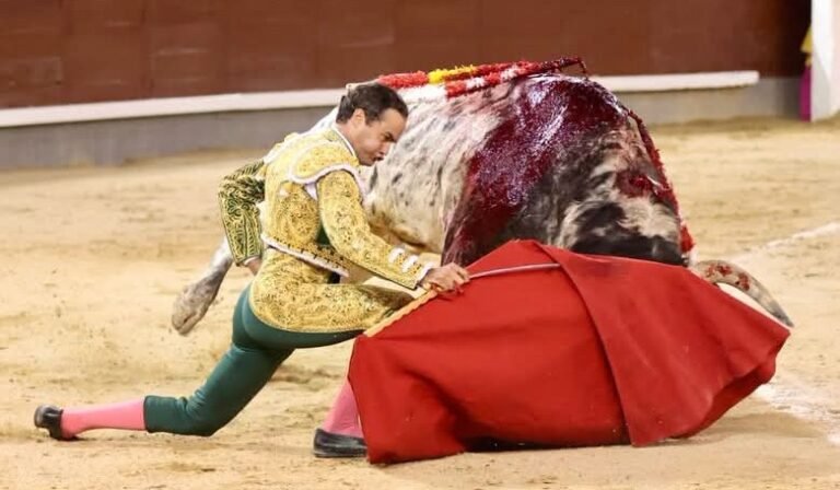 Juan Pablo Sánchez, faenas de entrega y de oficio en Madrid