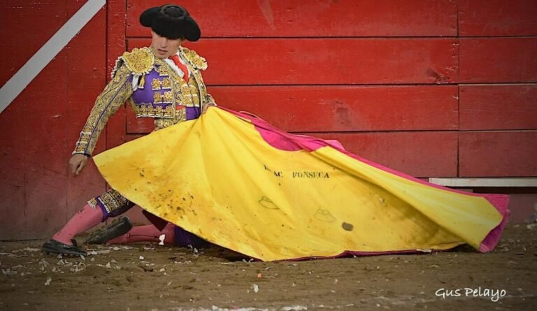 “Quiero lograr mi tercera Puerta Grande en Pamplona”. Fonseca