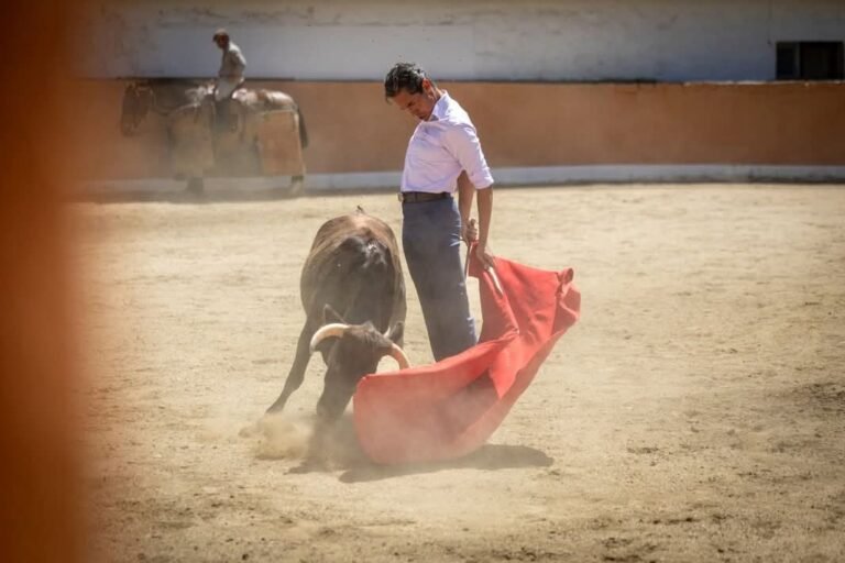 Silveti ya está en España